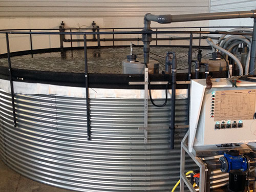 A biofiltration unit processing recycled water
